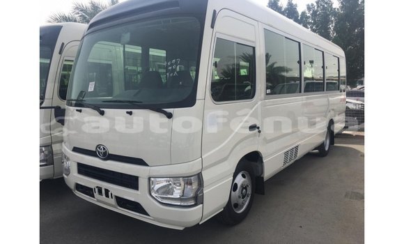 Buy Import Toyota Coaster White Car in Import - Dubai in Marquesas Buy Import Toyota Coaster White Car in Import - Dubai in Marquesas