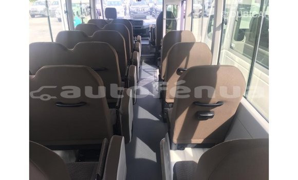 Buy Import Toyota Coaster White Car in Import - Dubai in Marquesas Buy Import Toyota Coaster White Car in Import - Dubai in Marquesas