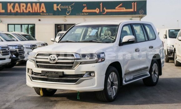 Acheter Import Voiture Toyota Land Cruiser Blanc à Import - Dubai, Marquesas Acheter Import Voiture Toyota Land Cruiser Blanc à Import - Dubai, Marquesas