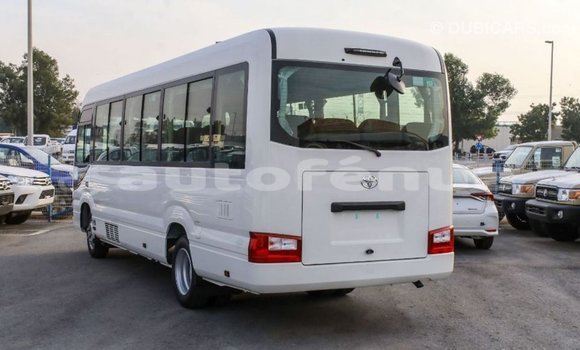Acheter Import Voiture Toyota Coaster Blanc à Import - Dubai, Marquesas Acheter Import Voiture Toyota Coaster Blanc à Import - Dubai, Marquesas
