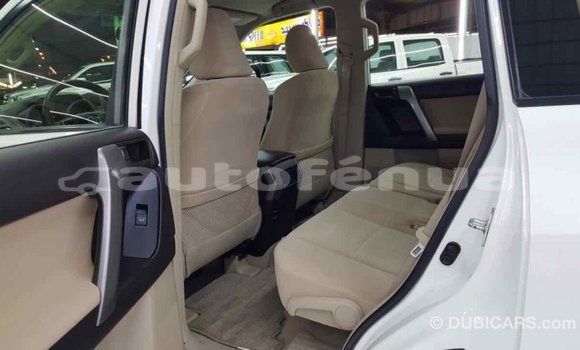 Buy Import Toyota Prado White Car in Import - Dubai in Marquesas Buy Import Toyota Prado White Car in Import - Dubai in Marquesas