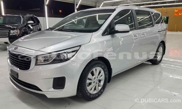 Buy Import Kia Carnival Other Car in Import - Dubai in Marquesas Buy Import Kia Carnival Other Car in Import - Dubai in Marquesas