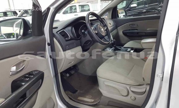 Buy Import Kia Carnival Other Car in Import - Dubai in Marquesas Buy Import Kia Carnival Other Car in Import - Dubai in Marquesas