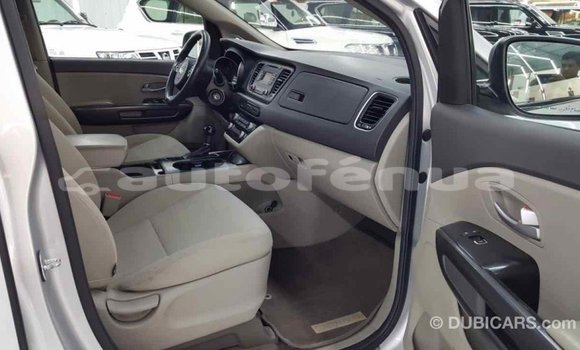 Buy Import Kia Carnival Other Car in Import - Dubai in Marquesas Buy Import Kia Carnival Other Car in Import - Dubai in Marquesas