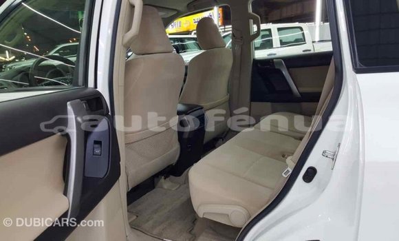 Buy Import Toyota Prado White Car in Import - Dubai in Marquesas Buy Import Toyota Prado White Car in Import - Dubai in Marquesas