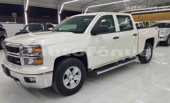 Buy Import Chevrolet Silverado White Car in Import - Dubai in Marquesas Buy Import Chevrolet Silverado White Car in Import - Dubai in Marquesas
