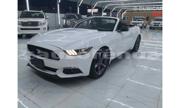 Buy Import Ford Mustang White Car in Import - Dubai in Marquesas Buy Import Ford Mustang White Car in Import - Dubai in Marquesas