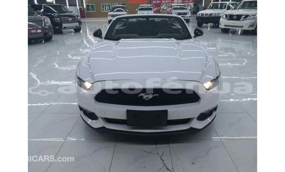 Buy Import Ford Mustang White Car in Import - Dubai in Marquesas Buy Import Ford Mustang White Car in Import - Dubai in Marquesas