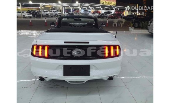 Buy Import Ford Mustang White Car in Import - Dubai in Marquesas Buy Import Ford Mustang White Car in Import - Dubai in Marquesas
