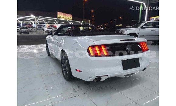 Buy Import Ford Mustang White Car in Import - Dubai in Marquesas Buy Import Ford Mustang White Car in Import - Dubai in Marquesas