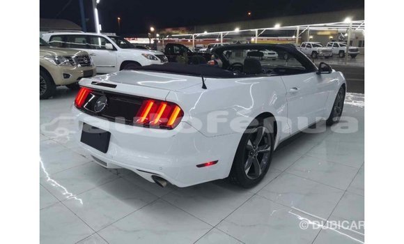 Buy Import Ford Mustang White Car in Import - Dubai in Marquesas Buy Import Ford Mustang White Car in Import - Dubai in Marquesas