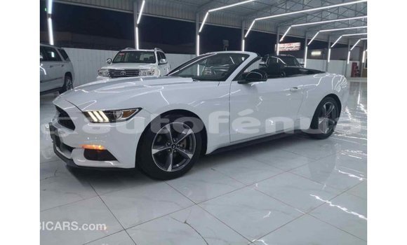 Buy Import Ford Mustang White Car in Import - Dubai in Marquesas Buy Import Ford Mustang White Car in Import - Dubai in Marquesas