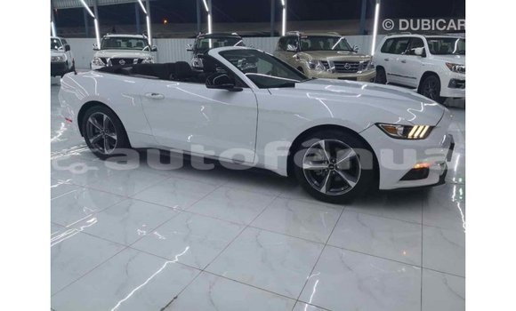 Buy Import Ford Mustang White Car in Import - Dubai in Marquesas Buy Import Ford Mustang White Car in Import - Dubai in Marquesas