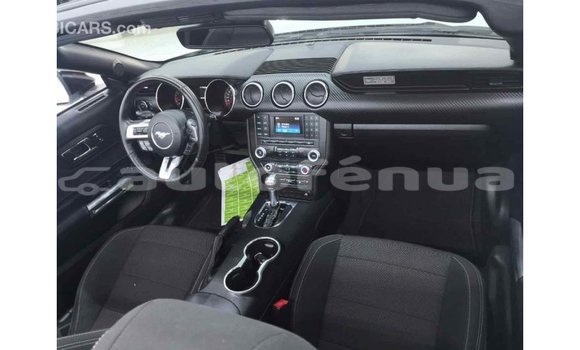 Buy Import Ford Mustang White Car in Import - Dubai in Marquesas Buy Import Ford Mustang White Car in Import - Dubai in Marquesas