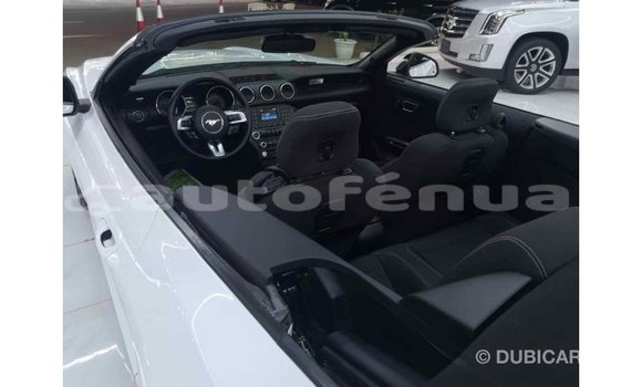 Buy Import Ford Mustang White Car in Import - Dubai in Marquesas Buy Import Ford Mustang White Car in Import - Dubai in Marquesas