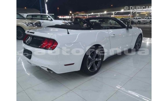 Buy Import Ford Mustang White Car in Import - Dubai in Marquesas Buy Import Ford Mustang White Car in Import - Dubai in Marquesas