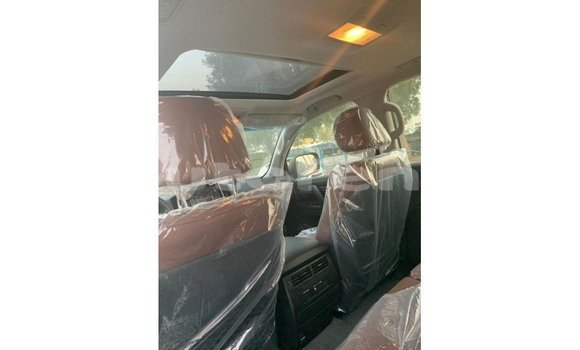 Buy Import Toyota Land Cruiser Black Car in Import - Dubai in Marquesas Buy Import Toyota Land Cruiser Black Car in Import - Dubai in Marquesas