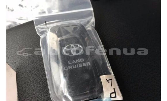 Buy Import Toyota Prado Other Car in Import - Dubai in Marquesas Buy Import Toyota Prado Other Car in Import - Dubai in Marquesas