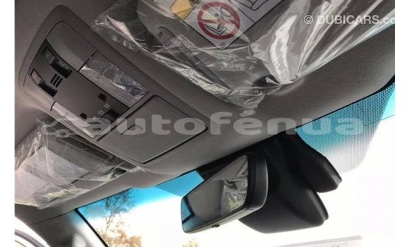 Buy Import Toyota Prado Other Car in Import - Dubai in Marquesas Buy Import Toyota Prado Other Car in Import - Dubai in Marquesas