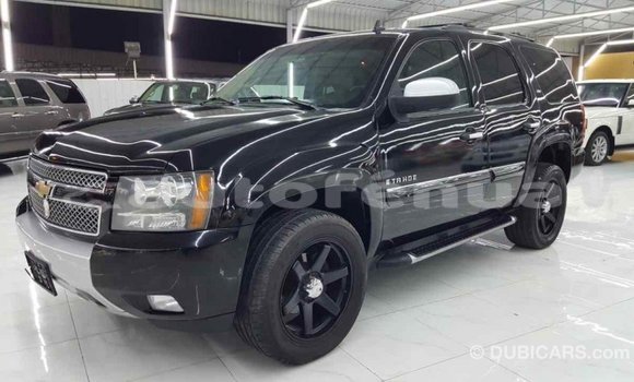 Buy Import Chevrolet Tahoe Black Car in Import - Dubai in Marquesas Buy Import Chevrolet Tahoe Black Car in Import - Dubai in Marquesas