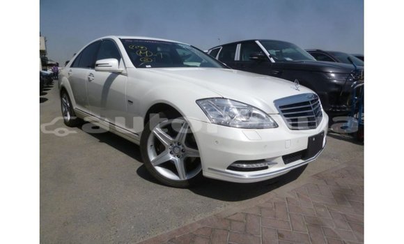 Buy Import Mercedes-Benz 190 White Car in Import - Dubai in Marquesas Buy Import Mercedes-Benz 190 White Car in Import - Dubai in Marquesas