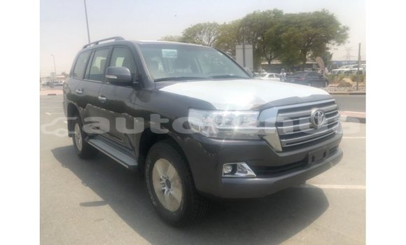 Acheter Import Voiture Toyota Land Cruiser Autre à Import - Dubai, Marquesas