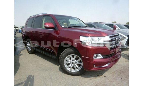 Buy Import Toyota Land Cruiser Other Car in Import - Dubai in Marquesas Buy Import Toyota Land Cruiser Other Car in Import - Dubai in Marquesas