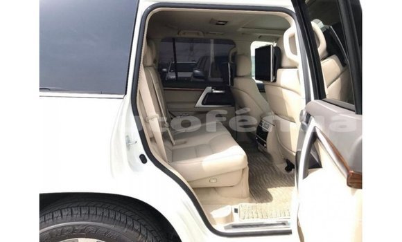 Buy Import Toyota Land Cruiser White Car in Import - Dubai in Marquesas Buy Import Toyota Land Cruiser White Car in Import - Dubai in Marquesas