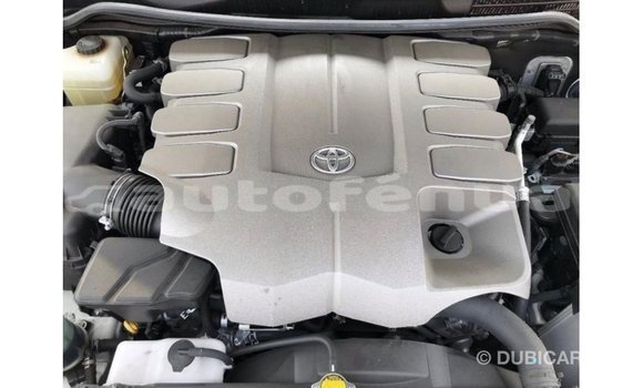 Buy Import Toyota Land Cruiser White Car in Import - Dubai in Marquesas Buy Import Toyota Land Cruiser White Car in Import - Dubai in Marquesas