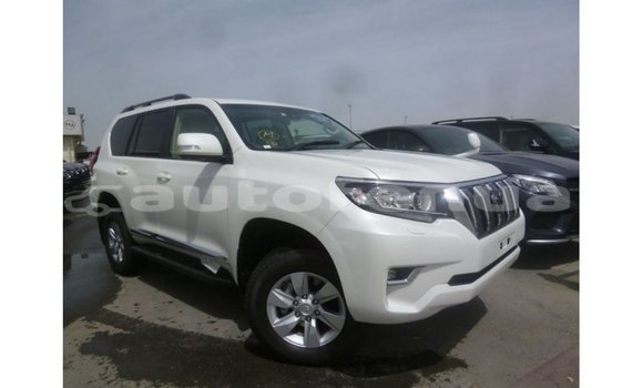 Acheter Import Voiture Toyota Prado Blanc à Import - Dubai, Marquesas