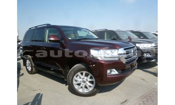 Acheter Import Voiture Toyota Land Cruiser Marron à Import - Dubai, Marquesas