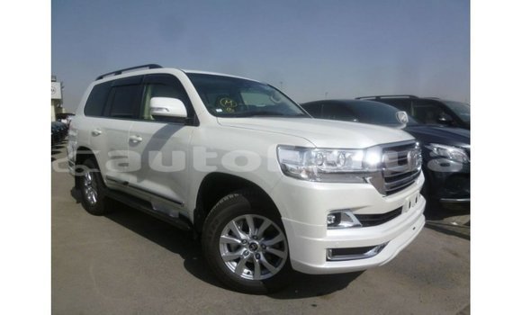 Acheter Import Voiture Toyota Land Cruiser Blanc à Import - Dubai, Marquesas