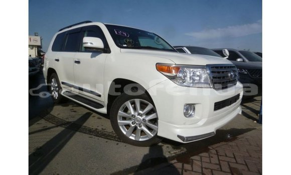Acheter Import Voiture Toyota Land Cruiser Blanc à Import - Dubai, Marquesas