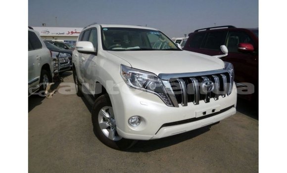 Acheter Import Voiture Toyota Prado Blanc à Import - Dubai, Marquesas