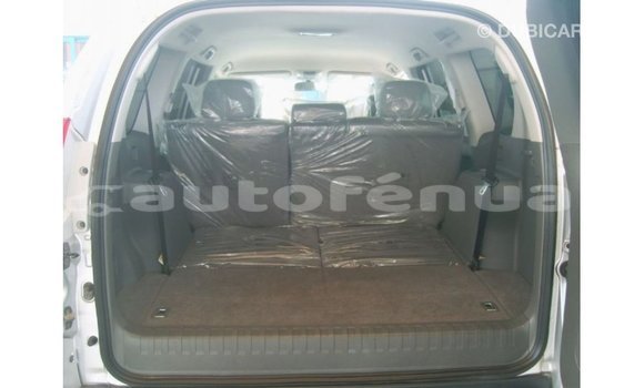 Buy Import Toyota Prado Other Car in Import - Dubai in Marquesas Buy Import Toyota Prado Other Car in Import - Dubai in Marquesas