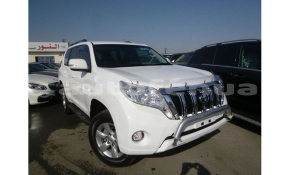 Acheter Import Voiture Toyota Prado Blanc à Import - Dubai, Marquesas