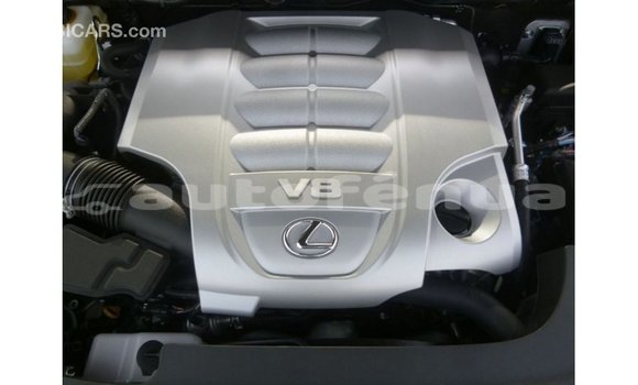 Buy Import Lexus LX Other Car in Import - Dubai in Marquesas Buy Import Lexus LX Other Car in Import - Dubai in Marquesas
