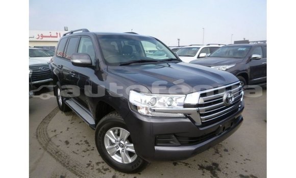 Acheter Import Voiture Toyota Land Cruiser Autre à Import - Dubai, Marquesas