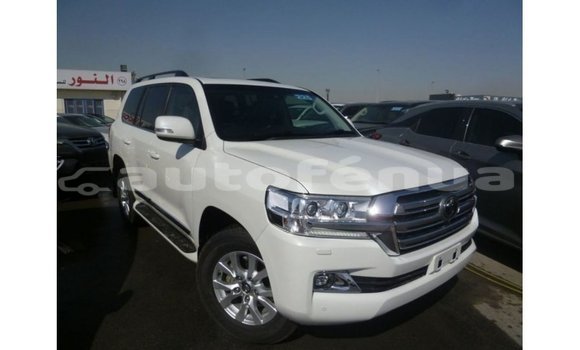 Acheter Import Voiture Toyota Land Cruiser Blanc à Import - Dubai, Marquesas