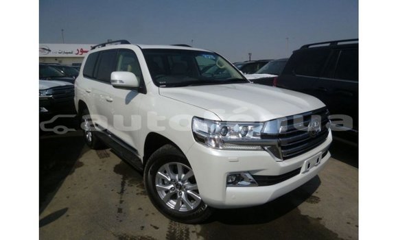Acheter Import Voiture Toyota Land Cruiser Blanc à Import - Dubai, Marquesas