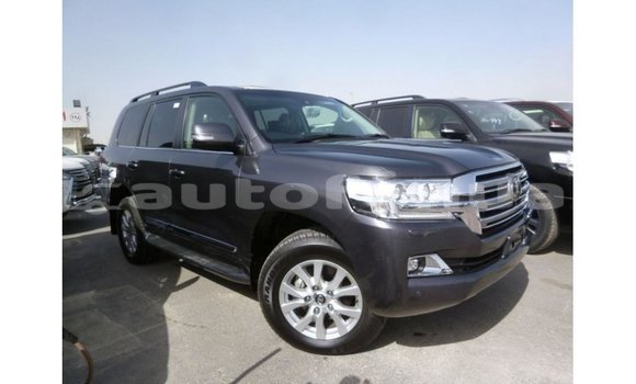 Acheter Import Voiture Toyota Land Cruiser Autre à Import - Dubai, Marquesas