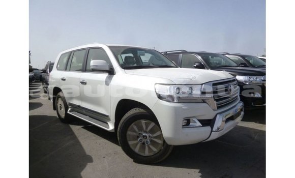 Acheter Import Voiture Toyota Land Cruiser Blanc à Import - Dubai, Marquesas