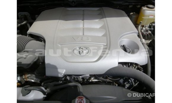 Buy Import Toyota Land Cruiser White Car in Import - Dubai in Marquesas Buy Import Toyota Land Cruiser White Car in Import - Dubai in Marquesas