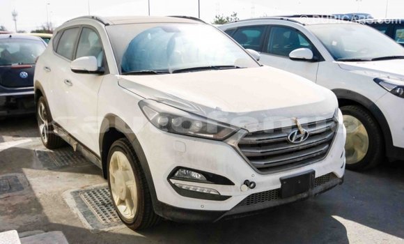 Buy Import Hyundai Tucson White Car in Import - Dubai in Marquesas Buy Import Hyundai Tucson White Car in Import - Dubai in Marquesas