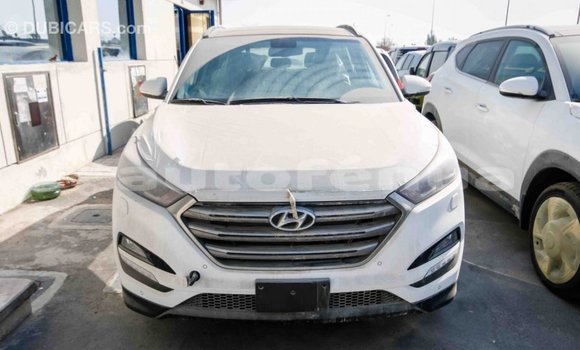 Buy Import Hyundai Tucson White Car in Import - Dubai in Marquesas Buy Import Hyundai Tucson White Car in Import - Dubai in Marquesas