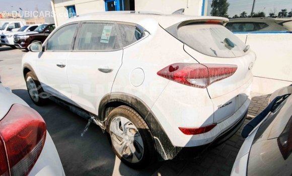 Buy Import Hyundai Tucson White Car in Import - Dubai in Marquesas Buy Import Hyundai Tucson White Car in Import - Dubai in Marquesas