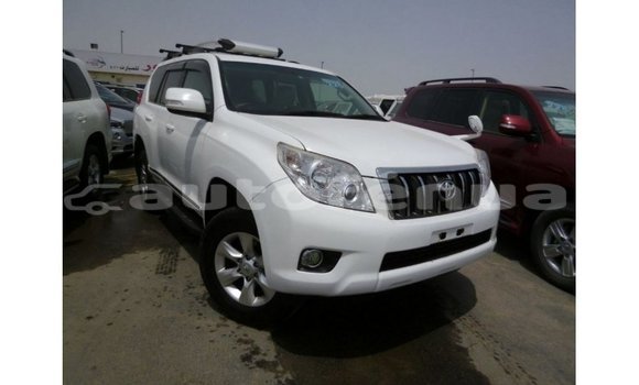 Acheter Import Voiture Toyota Prado Blanc à Import - Dubai, Marquesas