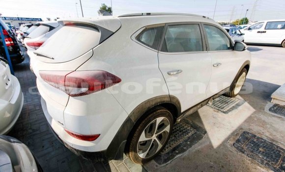 Buy Import Hyundai Tucson White Car in Import - Dubai in Marquesas Buy Import Hyundai Tucson White Car in Import - Dubai in Marquesas