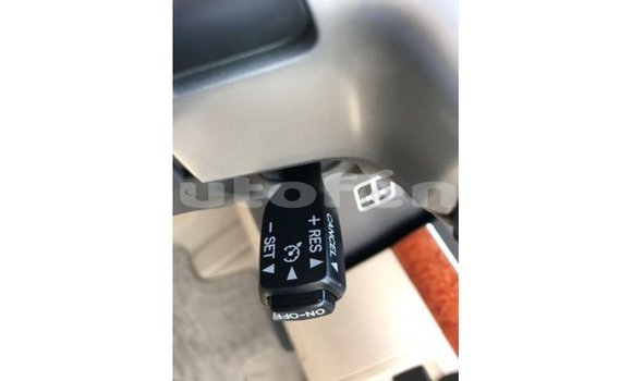 Buy Import Toyota Land Cruiser Black Car in Import - Dubai in Marquesas Buy Import Toyota Land Cruiser Black Car in Import - Dubai in Marquesas