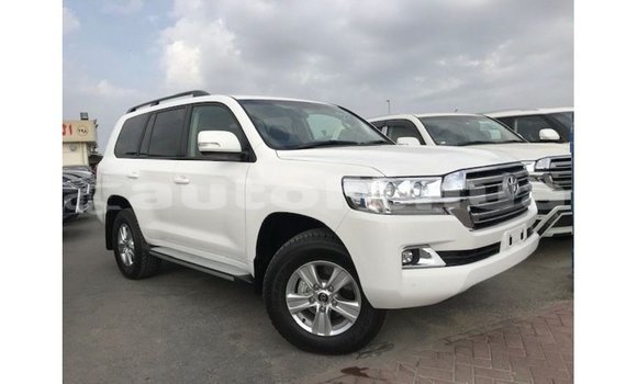 Acheter Import Voiture Toyota Land Cruiser Blanc à Import - Dubai, Marquesas